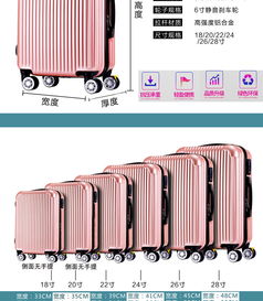 行李箱包萬向輪皮箱拉桿箱20寸登機旅行箱包鏡面 zl