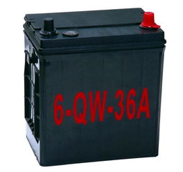 電瓶塑料外殼 免維護(hù)
